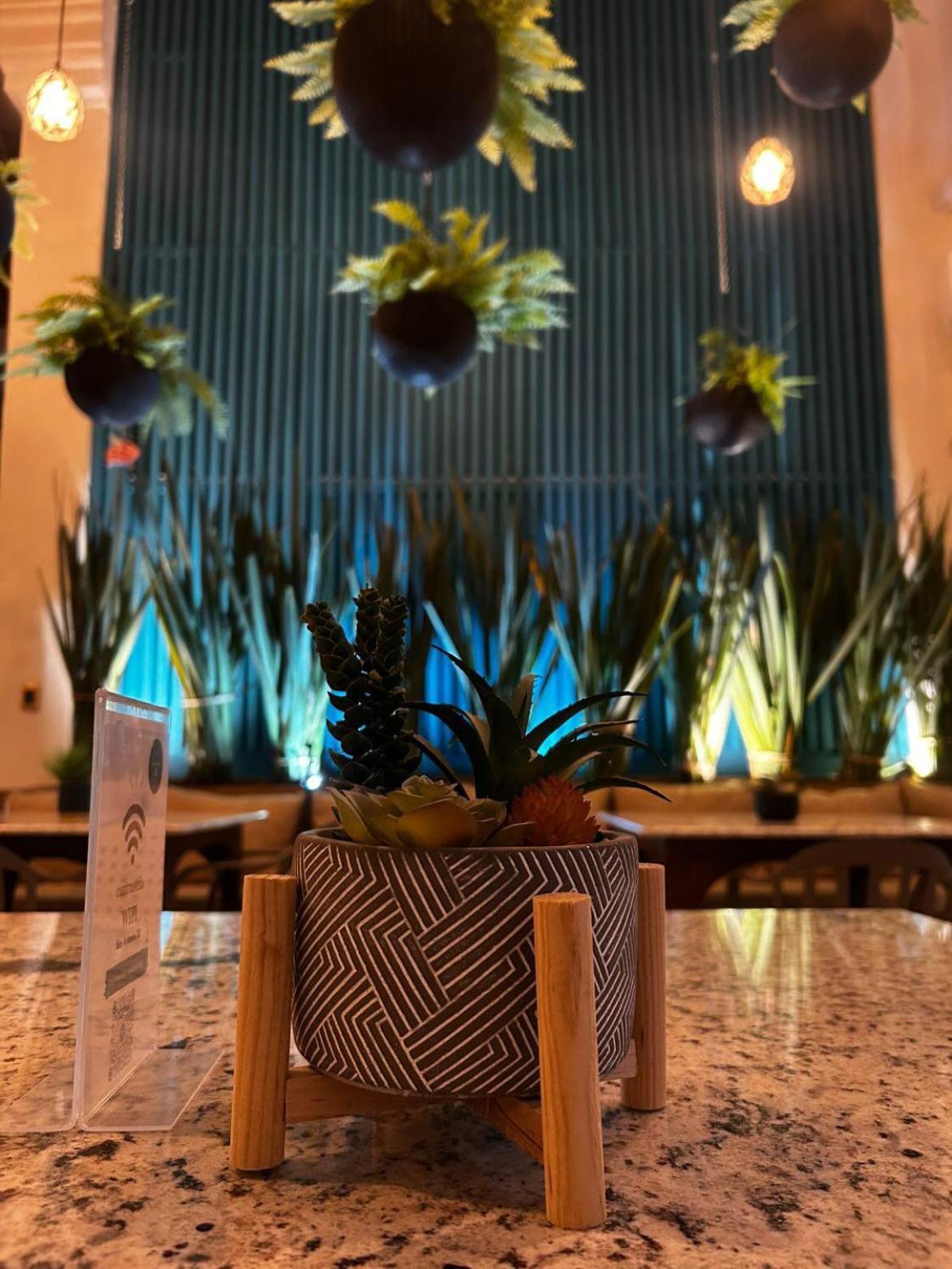 The Bersal House Otel San Miguel de Allende Dış mekan fotoğraf